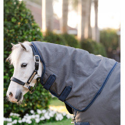 Pferdedecke Pony 100g wasserdicht – Horseware Rhino