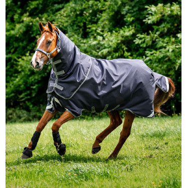 Pferdedecke Rambo Duo Ripstop Plus – Reitbedarf | Equi-Clic Pferdedecke Rambo Duo Ripstop Plus – Reitbedarf | Equi-Clic