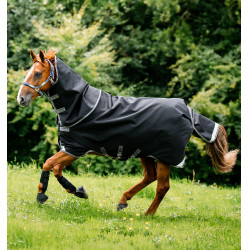 Pferdedecke 1680D wasserdicht 100g – Rambo Turnout | Reitsport Pferdedecke 1680D wasserdicht 100g – Rambo Turnout | Reitsport