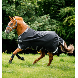 Pferdedecke 1680D wasserdicht 50g – Rambo Horseware