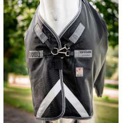 Winter-Outdoordecke Pferd 1680D 450g – Horseware Rambo