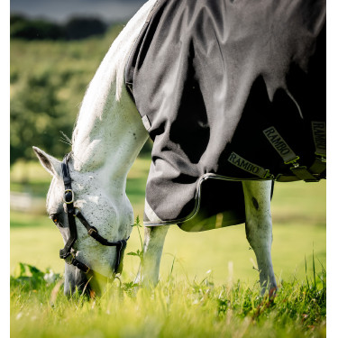 Winter-Outdoordecke Pferd 1680D 450g – Horseware Rambo