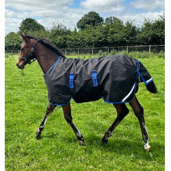 Fohlen-Outdoordecke 200g 900D Ripstop – Reitsport Fohlen-Outdoordecke 200g 900D Ripstop – Reitsport