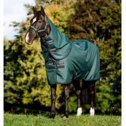 Pferdedecke Pony 0g wasserdicht – Horseware Amigo 900D | Equi-Clic