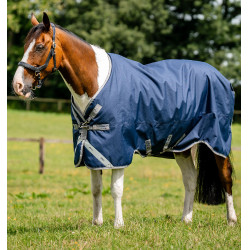 Pferdedecke 1200D XL Turnout 50g – wasserdicht | Reitsport