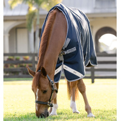 Pferdedecke 1200D 250g – Horseware Amigo | Reitsport