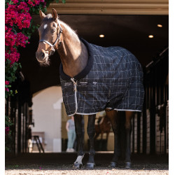 Pony-Stalldecke 250g – Horseware Rhino, Reitsport Pony-Stalldecke 250g – Horseware Rhino, Reitsport
