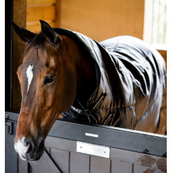 Stalldecke fürs Pferd 200g – Ripstop, mit Halsteil | Equi-Clic Stalldecke fürs Pferd 200g – Ripstop, mit Halsteil | Equi-Clic