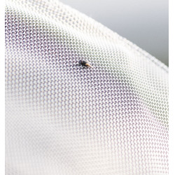 Fliegendecke fürs Pferd – Horseware Rambo Protector Disc