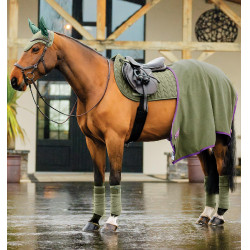 Fliegenhaube fürs Reiten – Horseware Amigo Earnet
