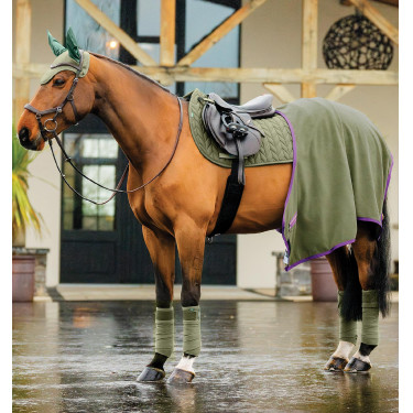 Fliegenhaube fürs Reiten – Horseware Amigo Earnet