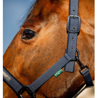 Halfter & Führstrick fürs Pferd – Amigo Horseware | Reiten