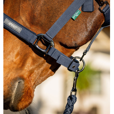 Halfter & Führstrick fürs Pferd – Amigo Horseware | Reiten
