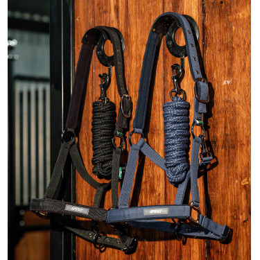 Halfter & Führstrick fürs Pferd – Amigo Horseware | Reiten