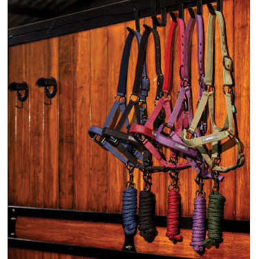 Halfter & Führstrick fürs Pferd – Amigo Horseware | Reiten