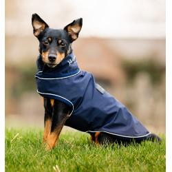 Regenmantel für Hunde – Reiten & Outdoor Schutz