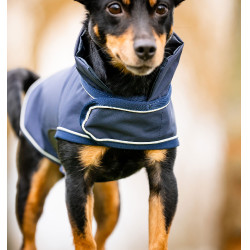 Regenmantel für Hunde – Reiten & Outdoor Schutz
