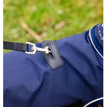 Regenmantel für Hunde – Reiten & Outdoor Schutz