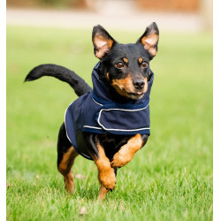 Regenmantel für Hunde – Reiten & Outdoor Schutz