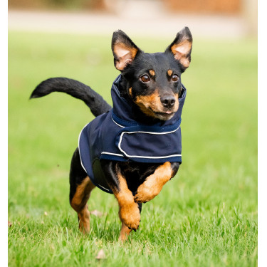 Regenmantel für Hunde – Reiten & Outdoor Schutz