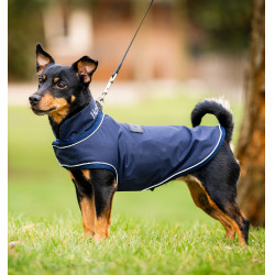 Regenmantel für Hunde – Reiten & Outdoor Schutz