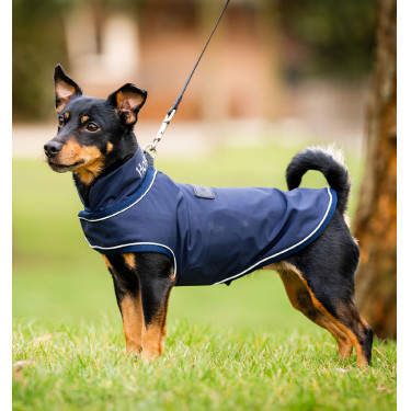 Regenmantel für Hunde – Reiten & Outdoor Schutz