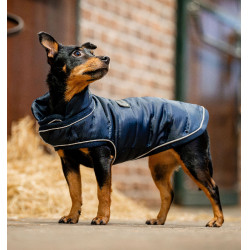 Hundedecke für Reitsport – 200g Wärme & Komfort
