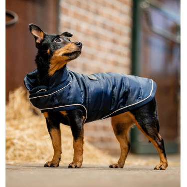 Hundedecke für Reitsport – 200g Wärme & Komfort