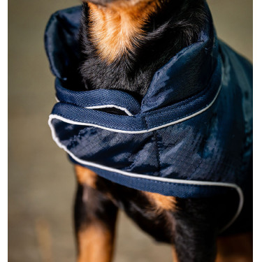Hundedecke für Reitsport – 200g Wärme & Komfort
