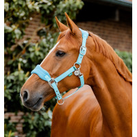 Horseware Halfter zur Pflege Signature Marine Marineblau