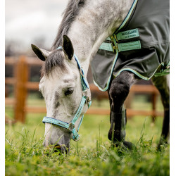 Sicheres Weidehalfter für Pferde von Horseware Sicheres Weidehalfter für Pferde von Horseware