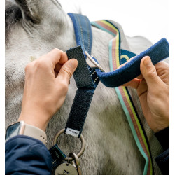 Sicheres Weidehalfter für Pferde von Horseware