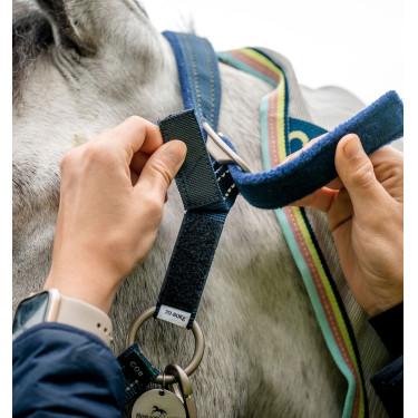 Sicheres Weidehalfter für Pferde von Horseware