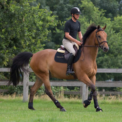 Arbeitsgamaschen Royal Back On Track Arbeitsgamaschen Royal Back On Track