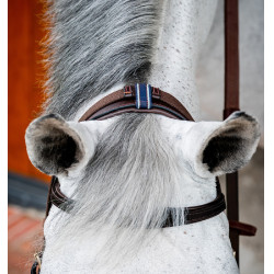 Anatomisches Reitzubehör: Micklem 2 Multi Zaumzeug Anatomisches Reitzubehör: Micklem 2 Multi Zaumzeug