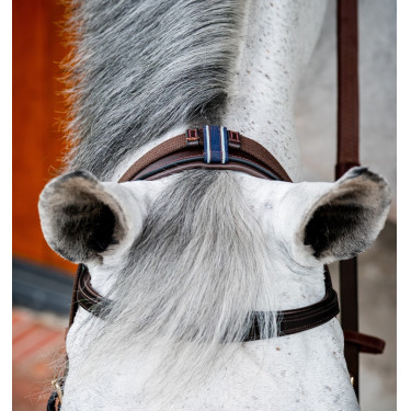 Anatomisches Reitzubehör: Micklem 2 Multi Zaumzeug Anatomisches Reitzubehör: Micklem 2 Multi Zaumzeug
