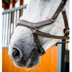 Anatomisches Reitzubehör: Micklem 2 Multi Zaumzeug Anatomisches Reitzubehör: Micklem 2 Multi Zaumzeug