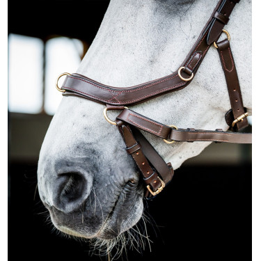 Anatomisches Reitzubehör: Micklem 2 Multi Zaumzeug Anatomisches Reitzubehör: Micklem 2 Multi Zaumzeug