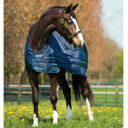 Warmer Pferde-Liner 300g für Reitdecken-Systeme