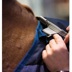 Warmer Pferde-Liner 300g für Reitdecken-Systeme