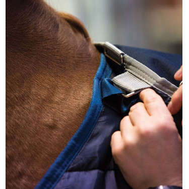 Warmer Pferde-Liner 300g für Reitdecken-Systeme