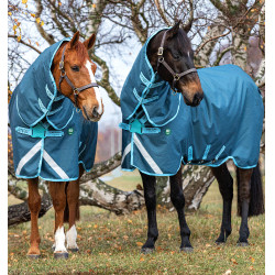 Nachhaltige 250g Weidedecke für Pferde – Horseware Nachhaltige 250g Weidedecke für Pferde – Horseware
