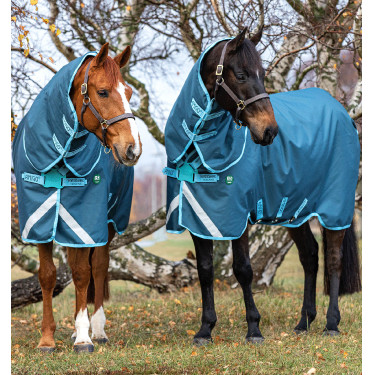 Nachhaltige 250g Weidedecke für Pferde – Horseware Nachhaltige 250g Weidedecke für Pferde – Horseware
