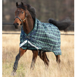 Wasserdichte Pferdedecke für Reitsport – 100g Rhino Wug Wasserdichte Pferdedecke für Reitsport – 100g Rhino Wug