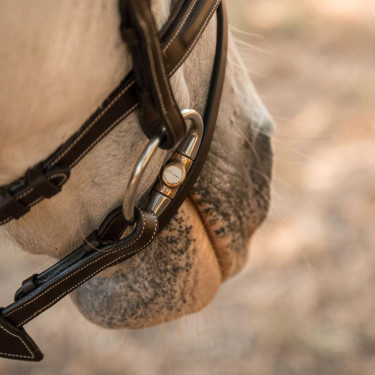 Olivenkopftrense doppelt gebrochen Kupfer – Reitsport