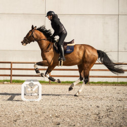 Cavaletti-Set Aluminium für Pferdetraining | Equi-Clic Cavaletti-Set Aluminium für Pferdetraining | Equi-Clic