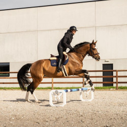 Cavaletti-Set Aluminium für Pferdetraining | Equi-Clic Cavaletti-Set Aluminium für Pferdetraining | Equi-Clic