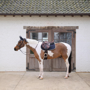 Reit-Schabracke Softshell Springen | Kentucky | Equi-Clic
