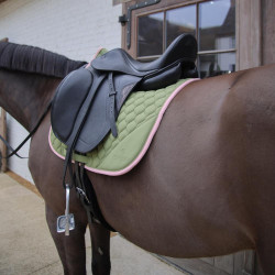 Dressur Schabracke Softshell von Kentucky – Reitsport Dressur Schabracke Softshell von Kentucky – Reitsport