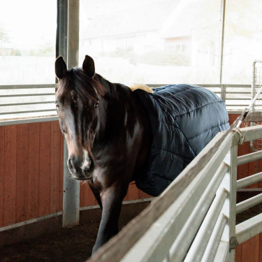Longiergurt mit Kunstlammfell Kentucky – Reiten Longiergurt mit Kunstlammfell Kentucky – Reiten